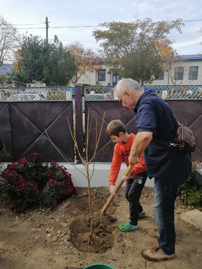 Copilul si pomul sau