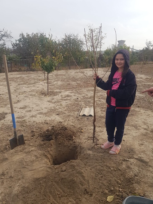 Copilul si pomul sau